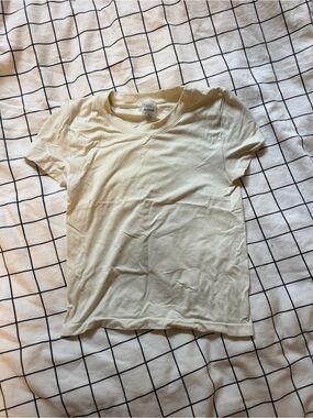 Aritzia Seamless Tshirt